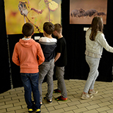 Sorties nature pour établissements scolaires