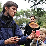 Sorties nature pour particulier